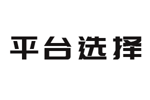 平台选择标准